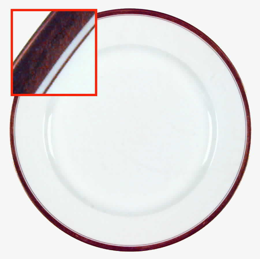 VIG62 Dinner Plate by Vignaud-1