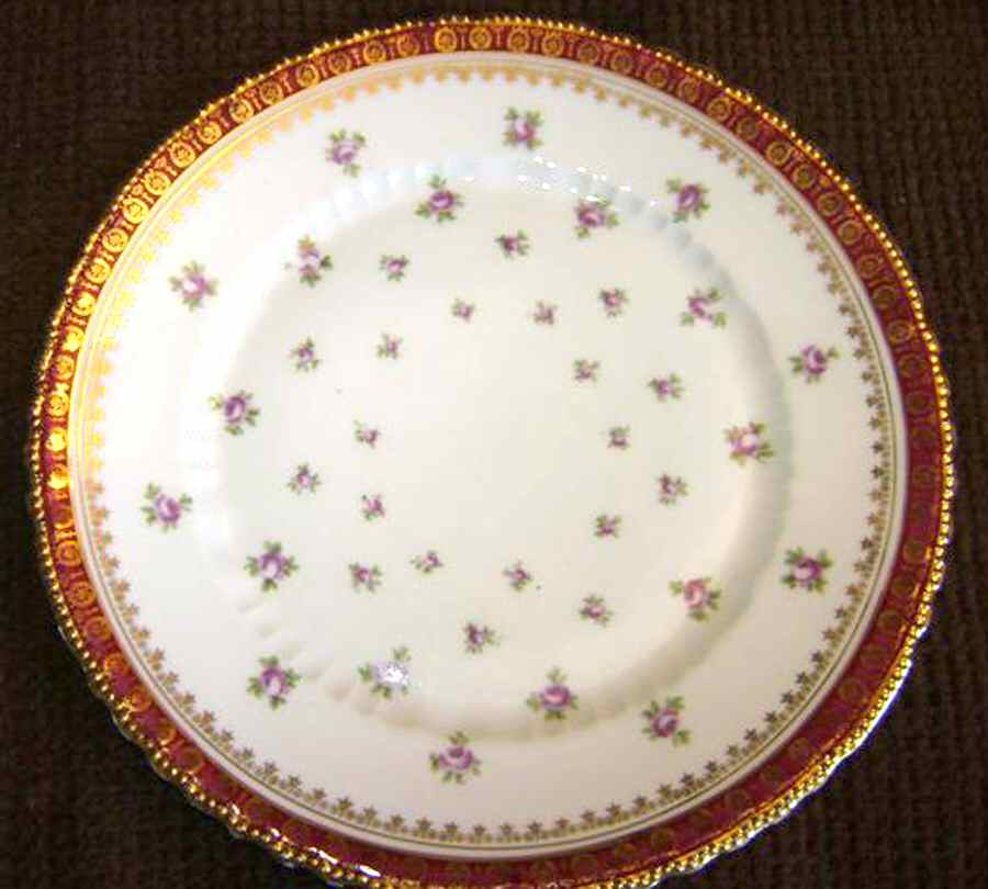 VTO176 Dinner Plate by Victoria (Austria)-1