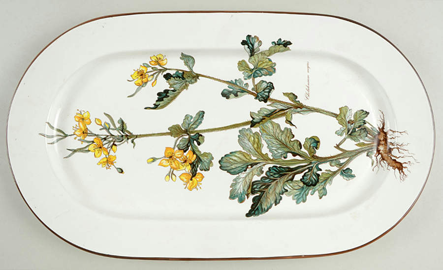 Botanica 17" Oval Serving Platter by Villeroy & Boch-1
