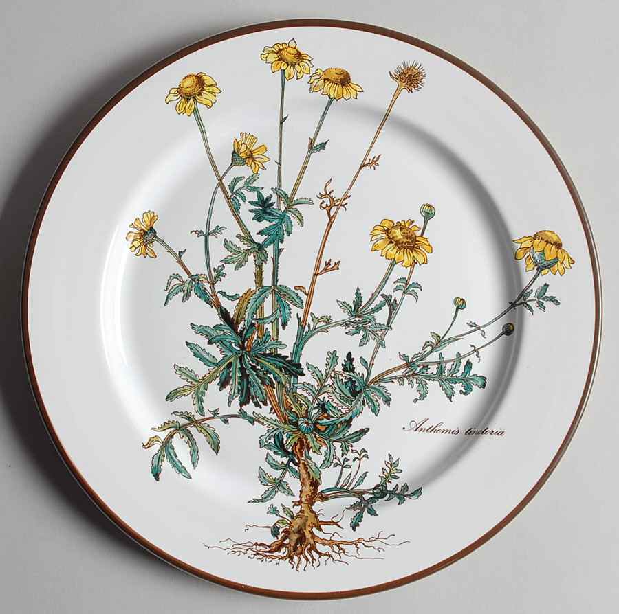 Botanica Luncheon Plate by Villeroy & Boch-1