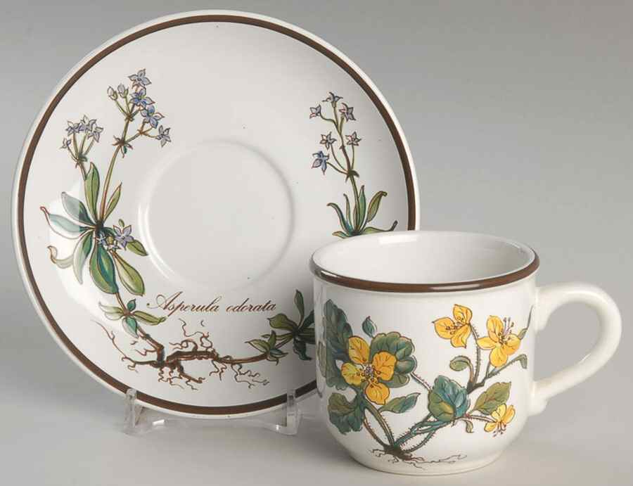 Botanica Flat Demitasse Cup & Saucer Set by Villeroy & Boch-1
