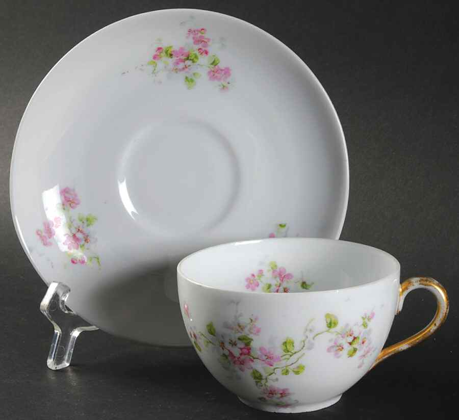 VTO9 Flat Cup & Saucer Set by Victoria (Austria)-1