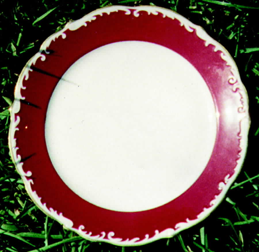 VIT132 Dinner Plate by Victoria (Czech)-1