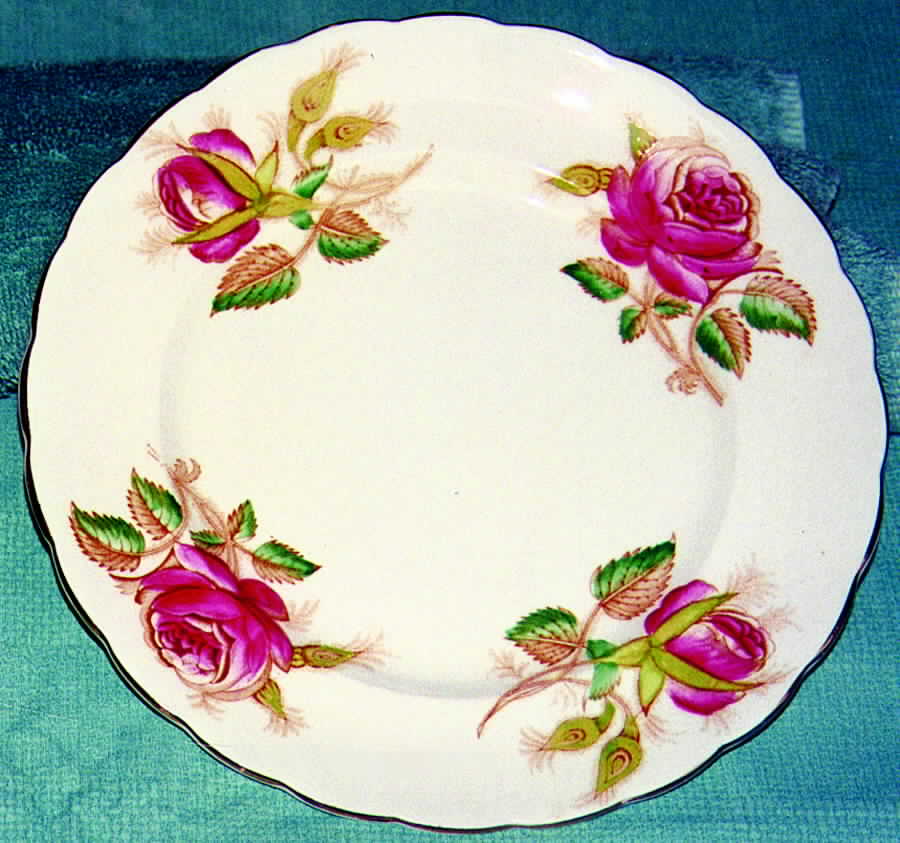 CAE32 Dinner Plate by Cartwright & Edwards-1
