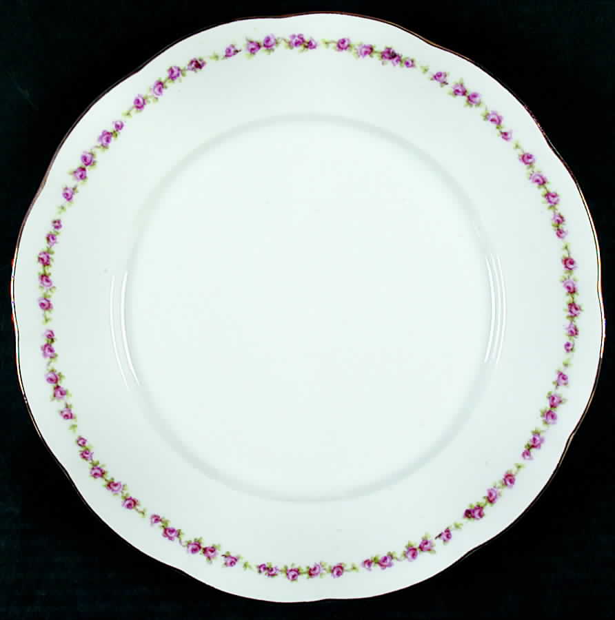 VTO2 Dinner Plate by Victoria (Austria)-1