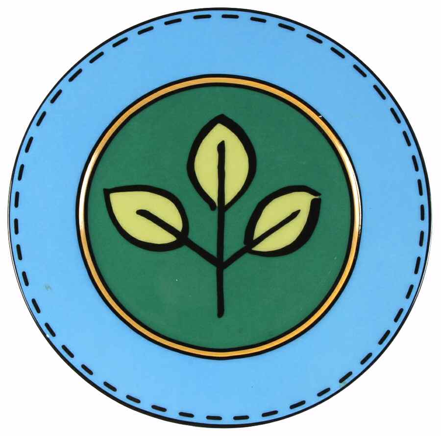 Novi Salad Plate by Villeroy & Boch-1