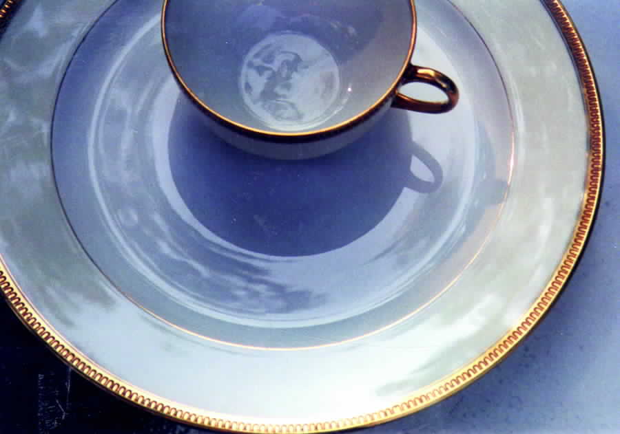 VIG69 Dinner Plate by Vignaud-1