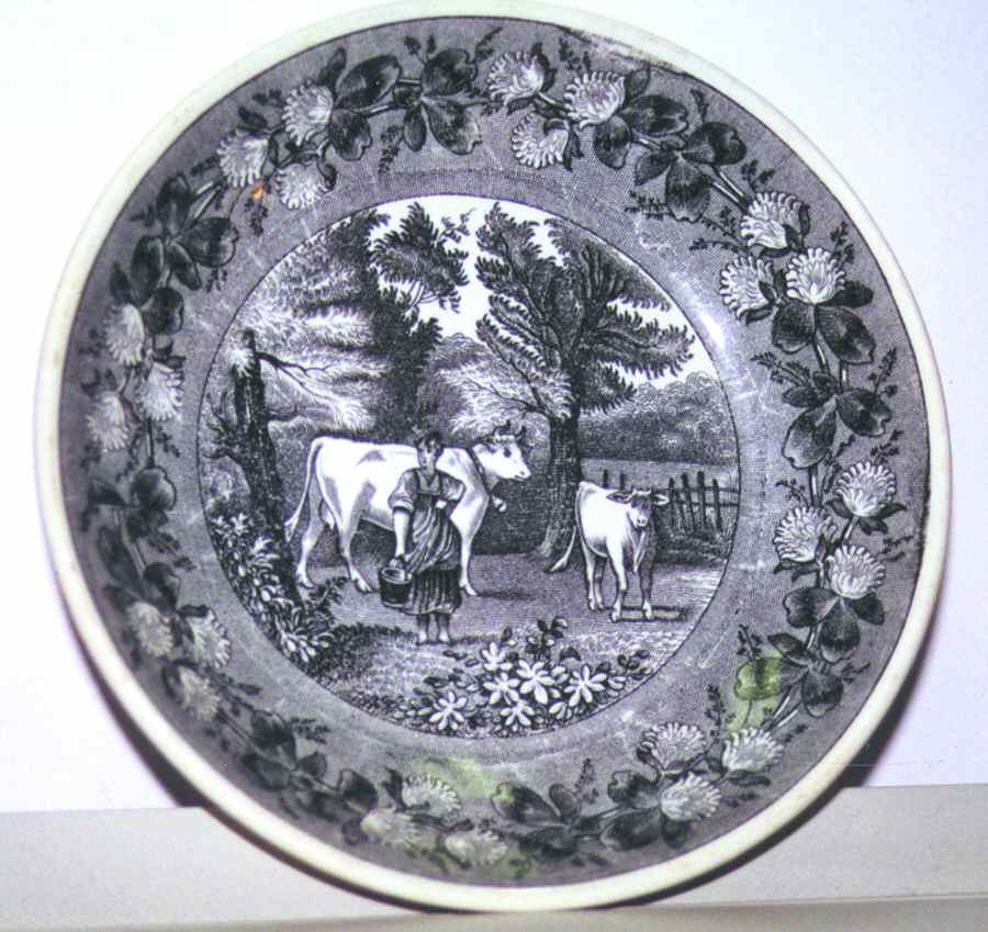 VIL41 Dinner Plate by Villeroy & Boch-1