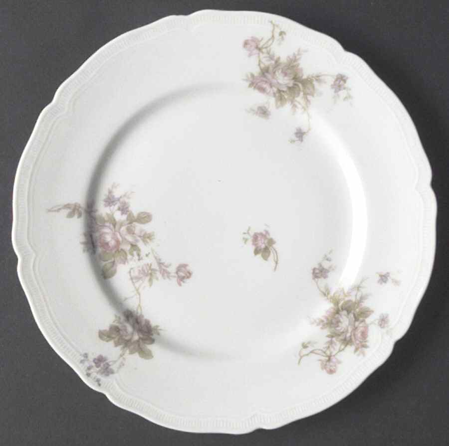 VNN49 Salad Plate by Vienna-1