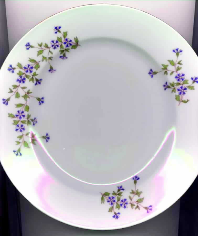 VIT142 Dinner Plate by Victoria (Czech)-1
