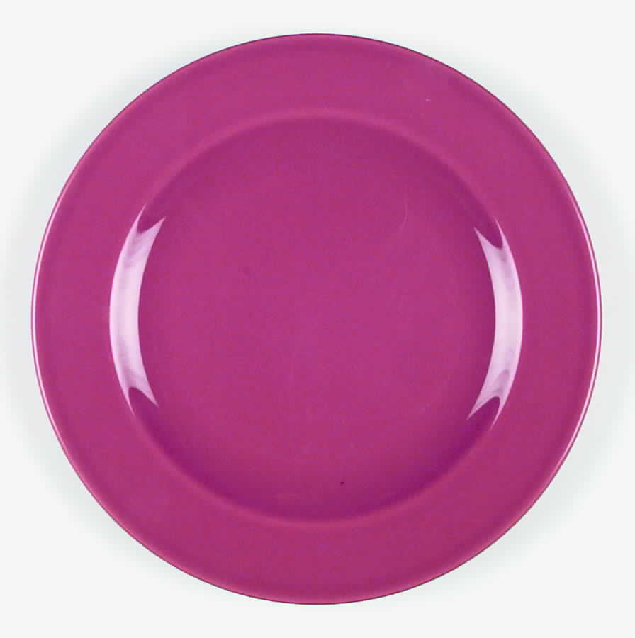 Prisma Terra Cotta (Brick) Dinner Plate by Vista Alegre-1