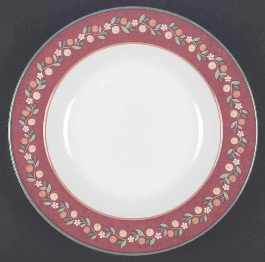Toscana Large Rim Soup Bowl by Vista Alegre-1