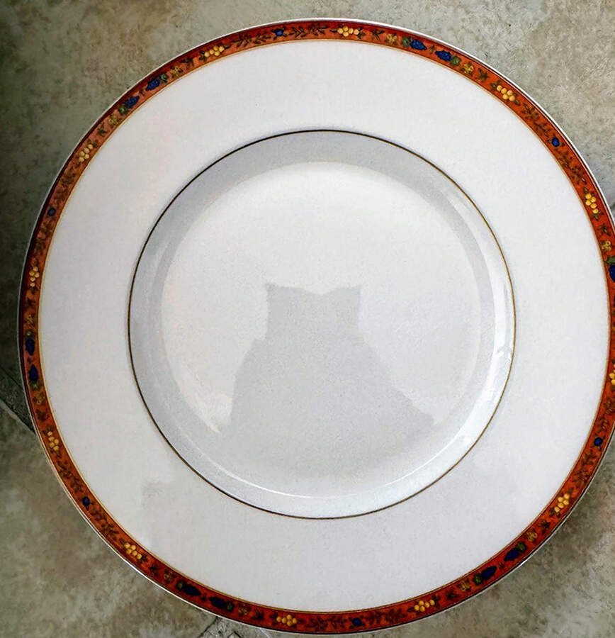 Celine Fruits Salad Plate by Villeroy & Boch-1