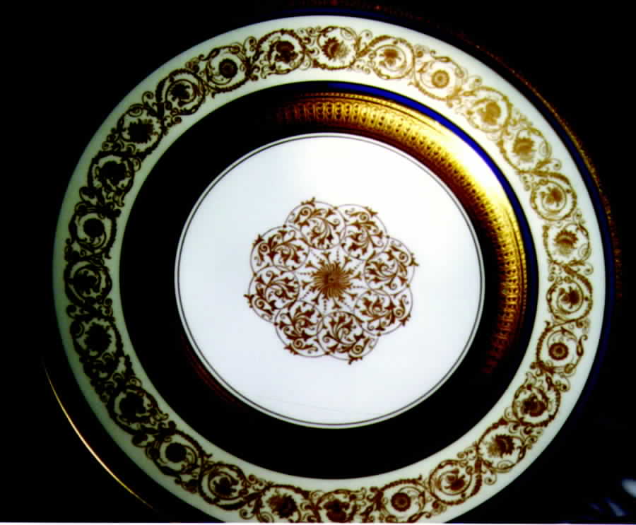 VIG72 Dinner Plate by Vignaud-1