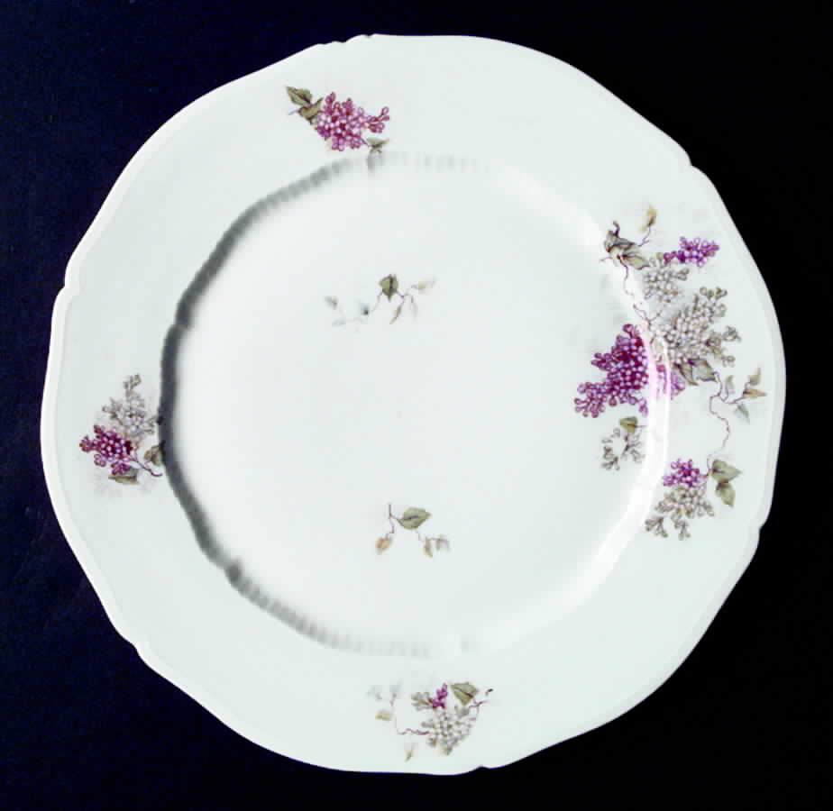 VNN19 Dinner Plate by Vienna-1