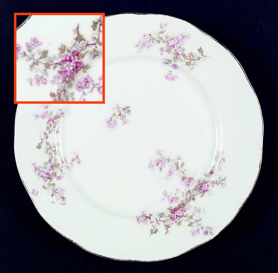 VIT152 Dinner Plate by Victoria (Czech)-1