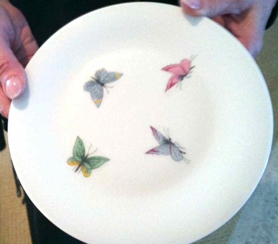 VIG75 Salad Plate by Vignaud-1