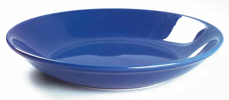 Prisma Dragon Blue 9" Individual Pasta Bowl by Vista Alegre-1
