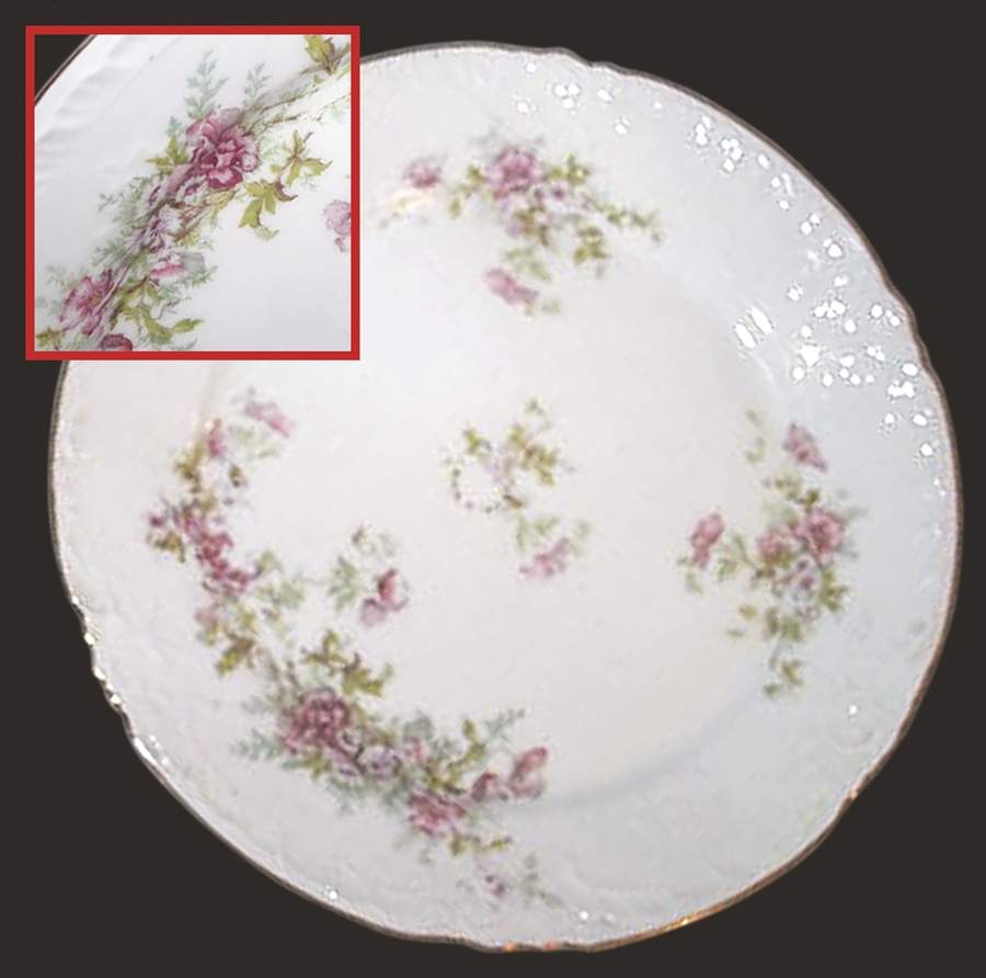 VTO22 Dinner Plate by Victoria (Austria)-1