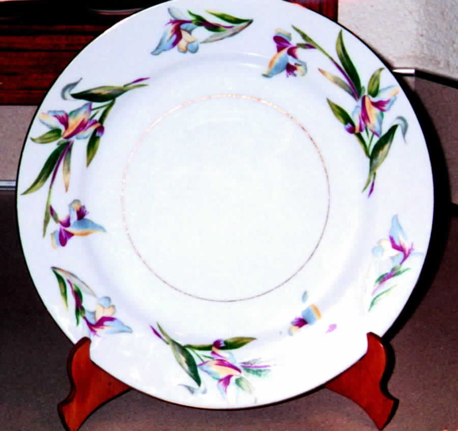 Dunsmuir Dinner Plate by Viceroy-1