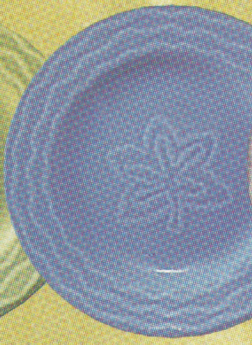 Nature Blue Salad/Dessert Plate by Vista Alegre-1
