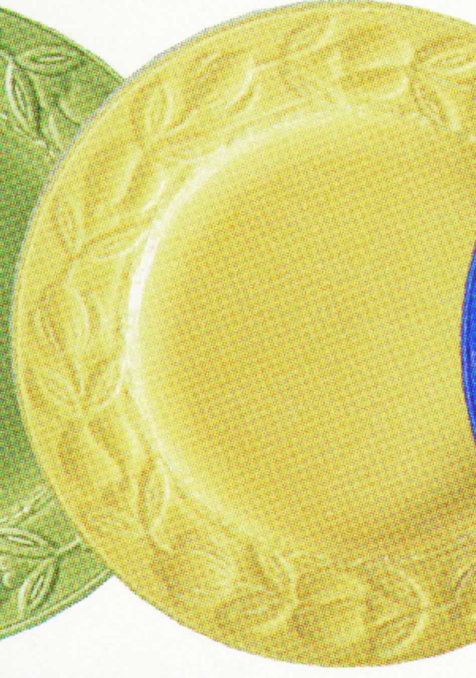 Formosa Vanilla Dinner Plate by Vista Alegre-1