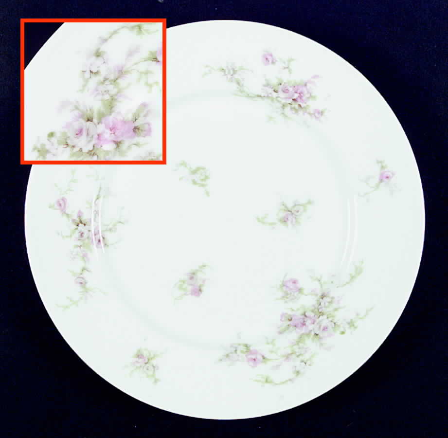 VTO23 Dinner Plate by Victoria (Austria)-1