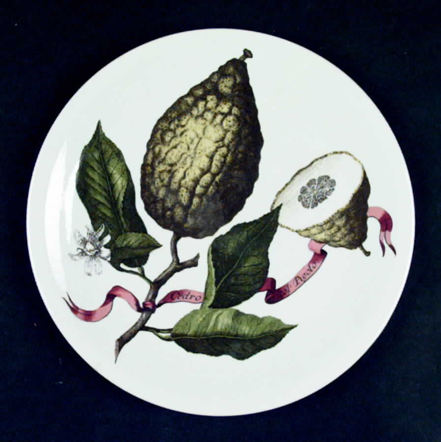 VIL59 Salad Plate by Villeroy & Boch-1
