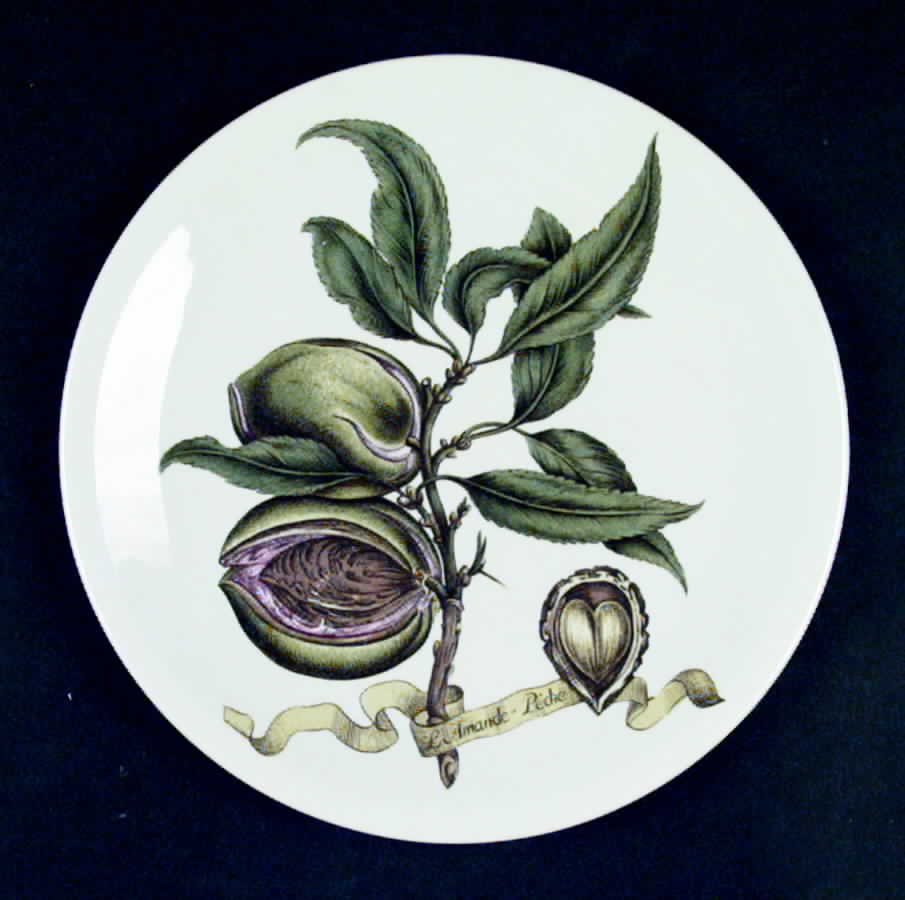 VIL59 Salad Plate by Villeroy & Boch-1