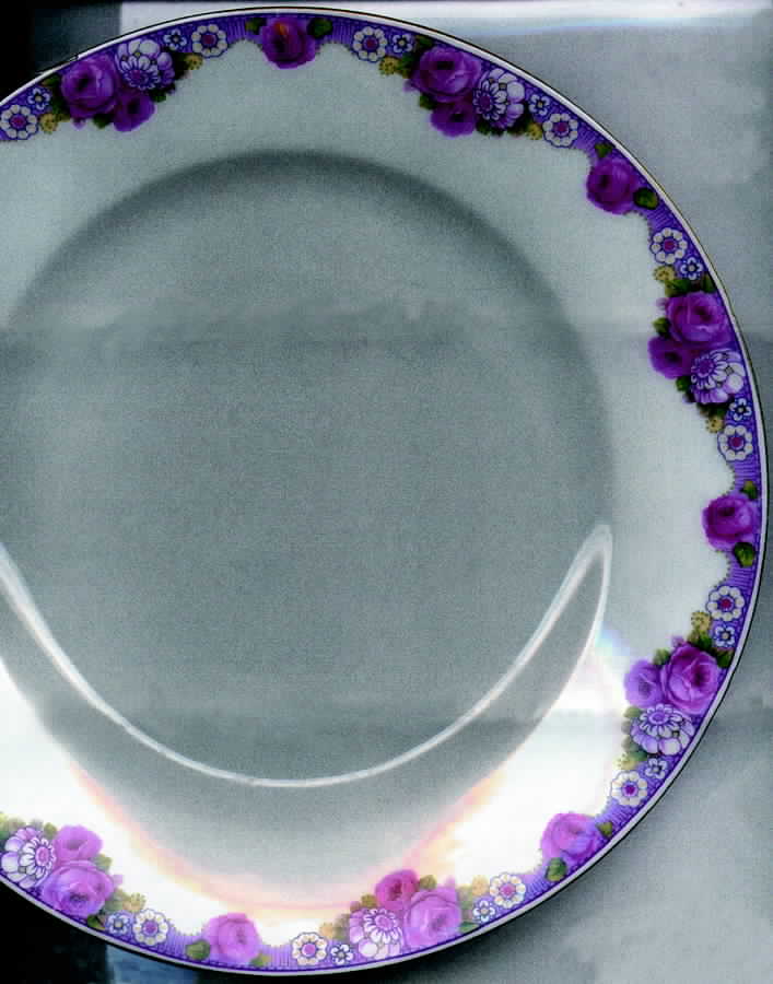 VIT157 Dinner Plate by Victoria (Czech)-1