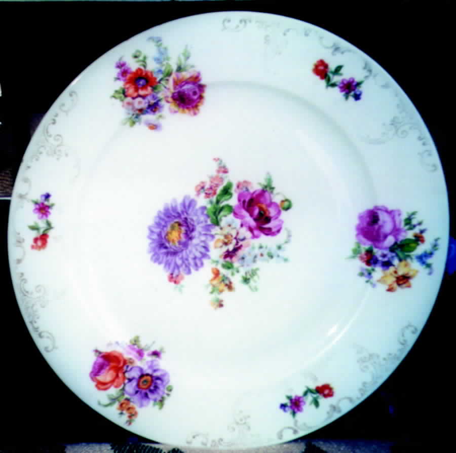 VIT159 Dinner Plate by Victoria (Czech)-1
