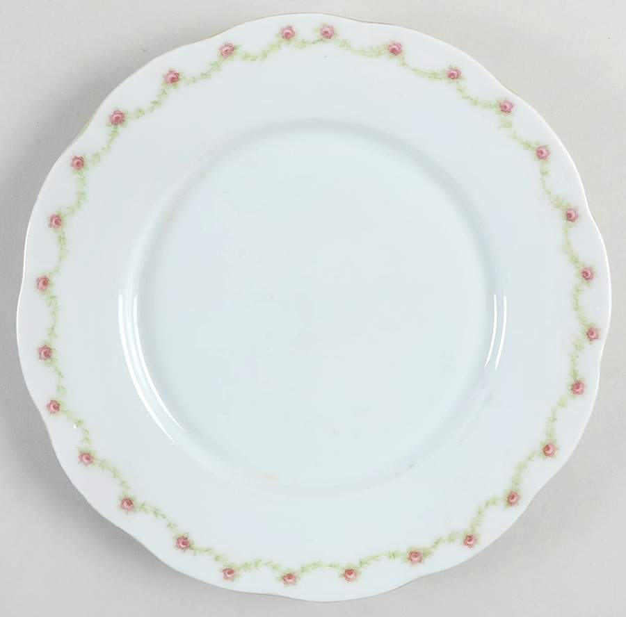 VTO24 Luncheon Plate by Victoria (Austria)-1