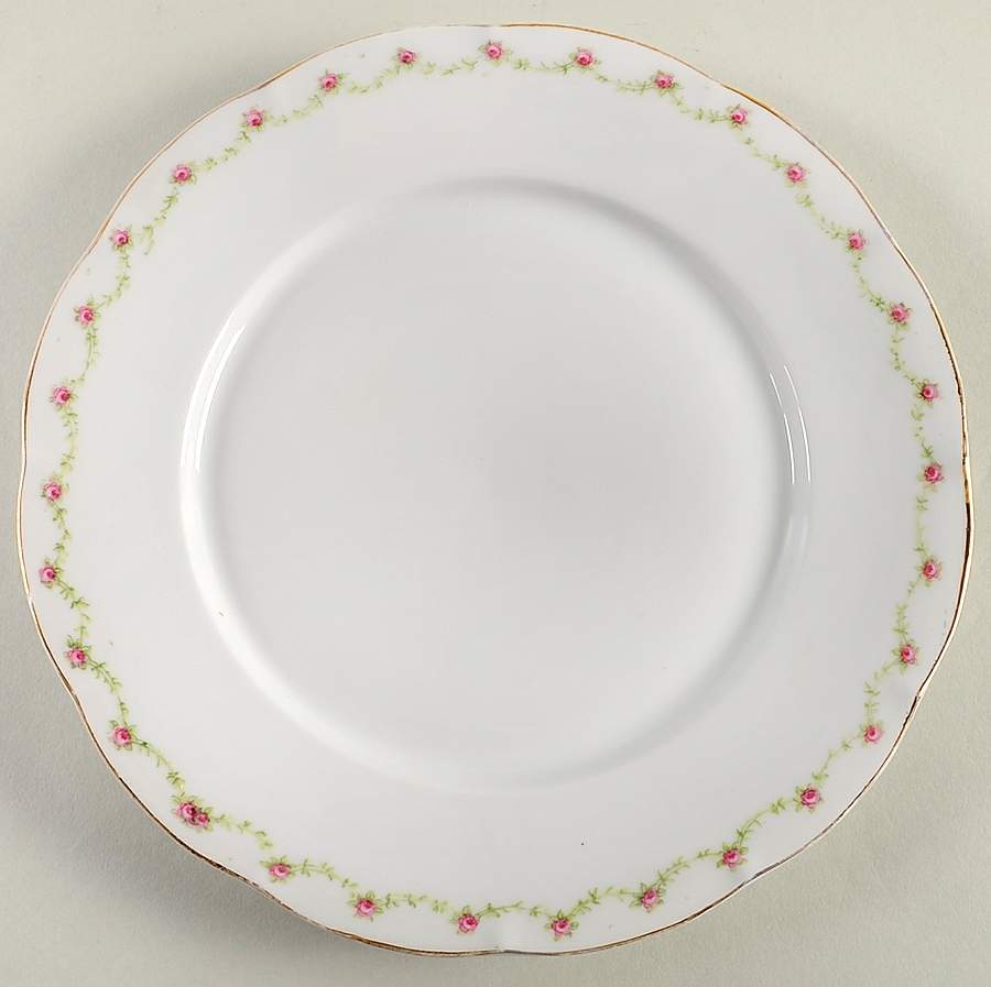 VTO24 Dinner Plate by Victoria (Austria)-1