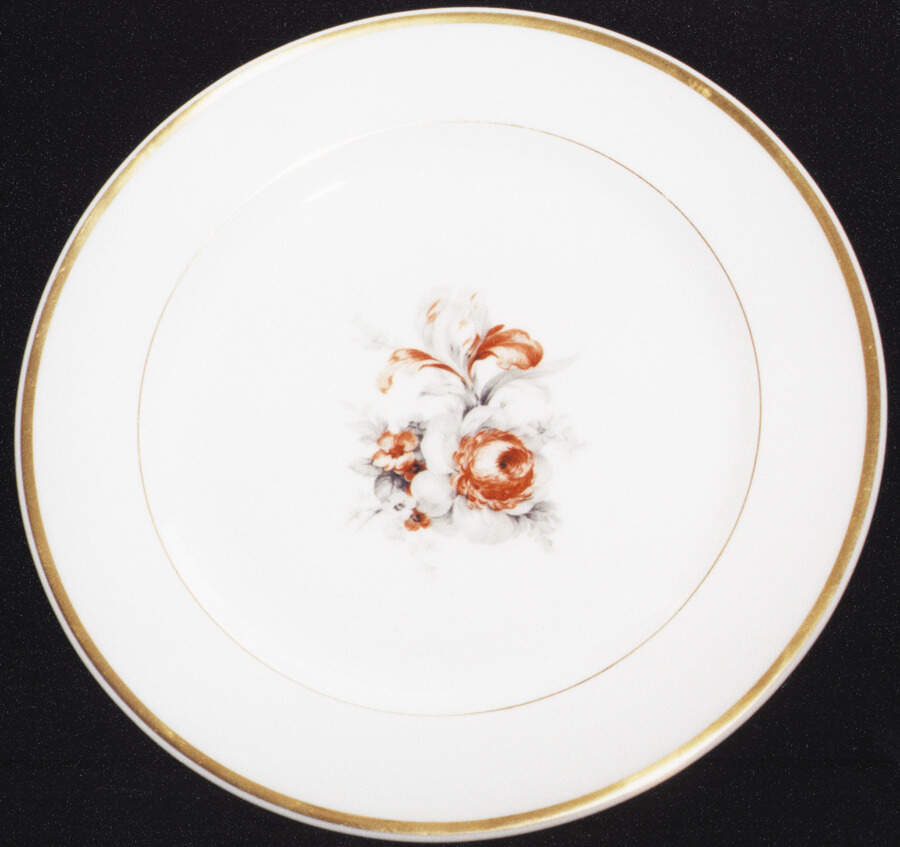 VIG79 Dinner Plate by Vignaud-1