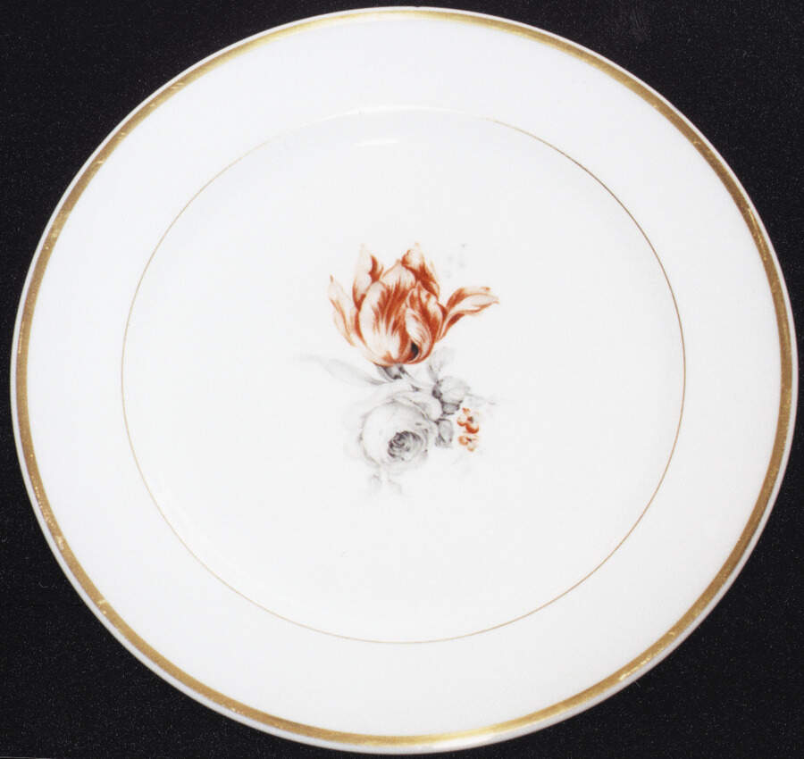 VIG79 Dinner Plate by Vignaud-1