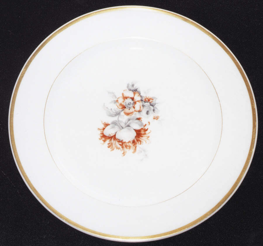 VIG79 Dinner Plate by Vignaud-1