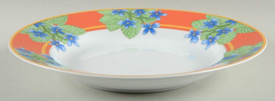 Danube Large Rim Soup Bowl by Vista Alegre-1