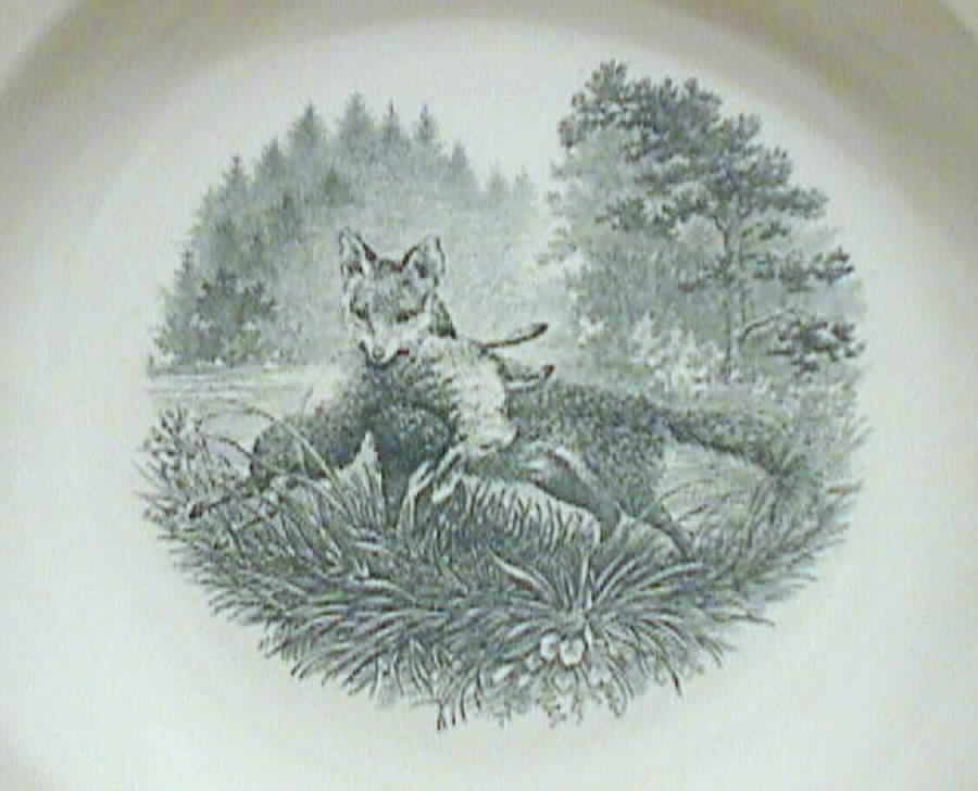 Diana Rim Soup Bowl by Villeroy & Boch-1