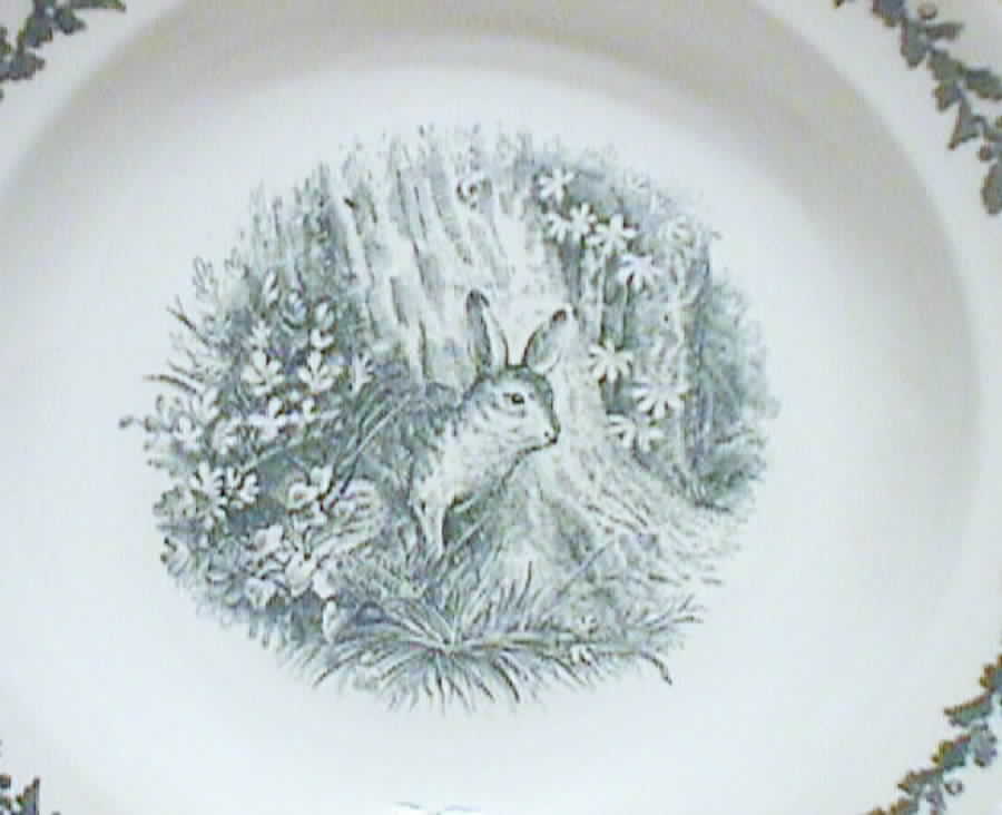 Diana Rim Soup Bowl by Villeroy & Boch-1