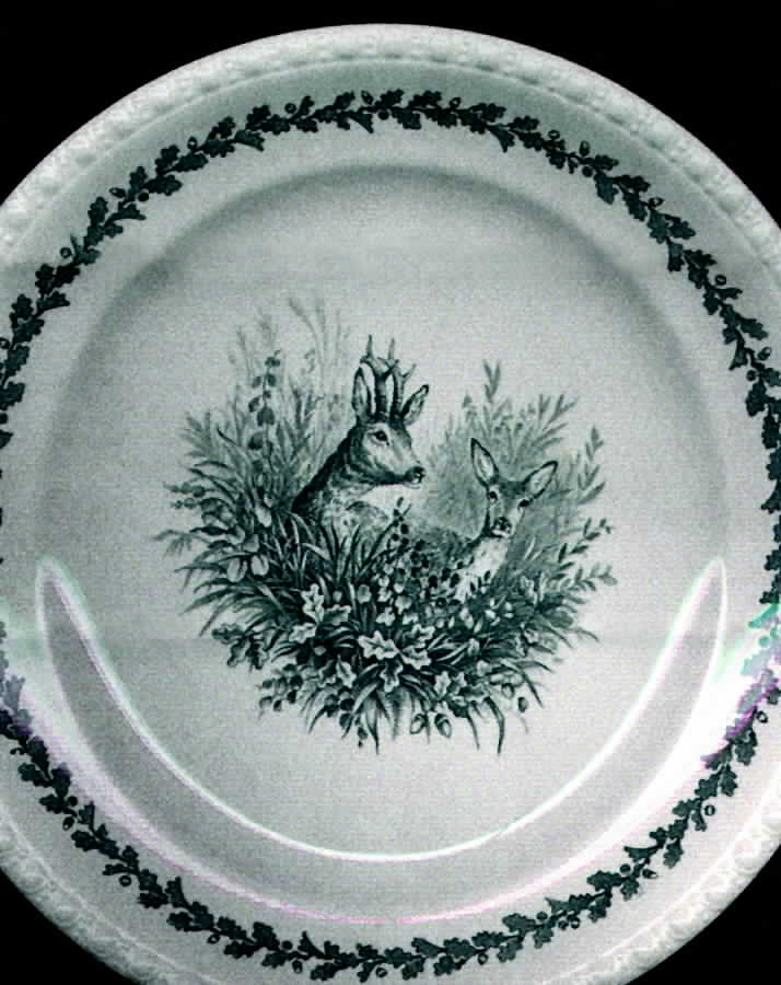 Diana Dinner Plate by Villeroy & Boch-1