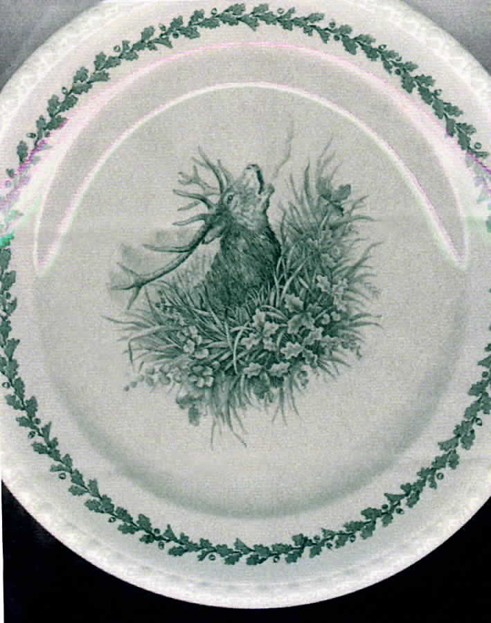 Diana Dinner Plate by Villeroy & Boch-1