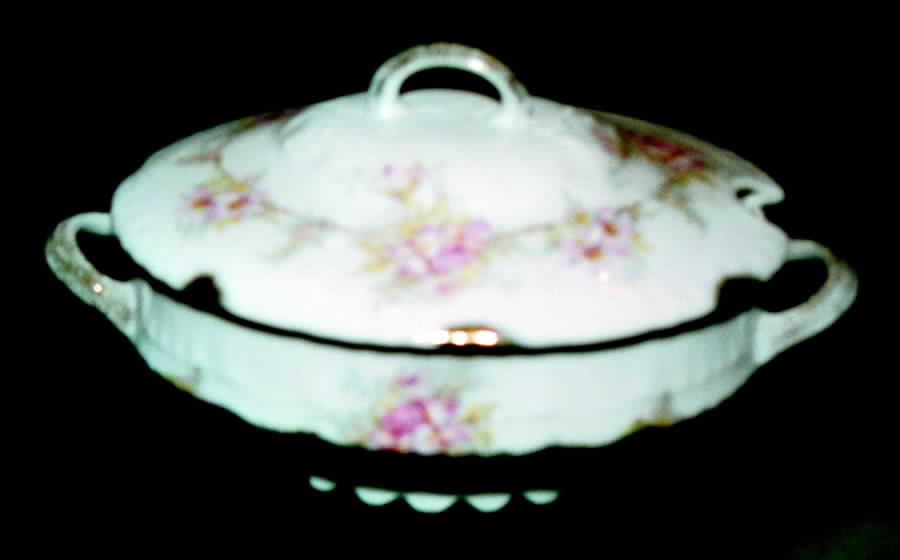 VTO10 Tureen &  Lid by Victoria (Austria)-1