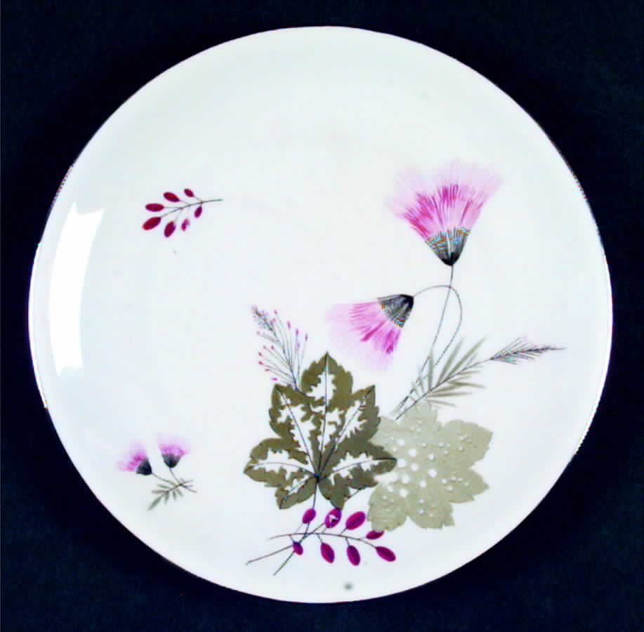 VCA3 Salad Plate by Victoria (Germany)-1