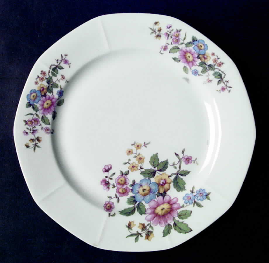 VIT173 Dinner Plate by Victoria (Czech)-1