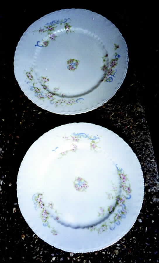 VTO35 Luncheon Plate by Victoria (Austria)-1