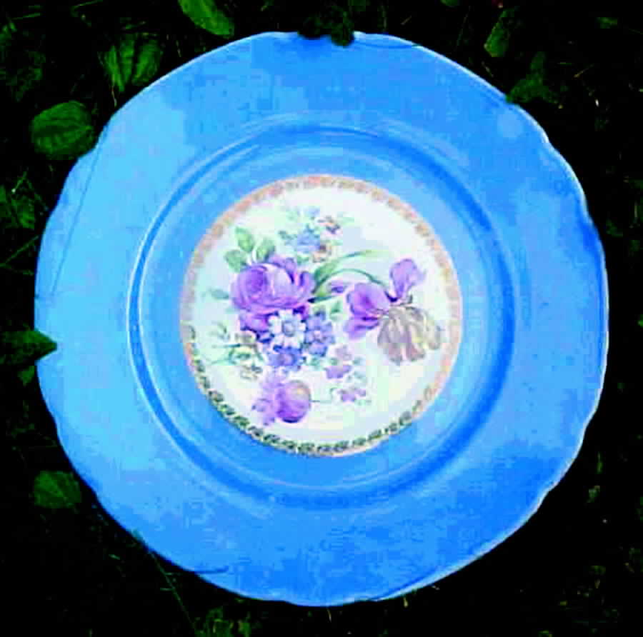 VIT175 Dinner Plate by Victoria (Czech)-1