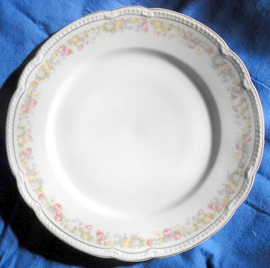 VNN57 Dinner Plate by Vienna-1