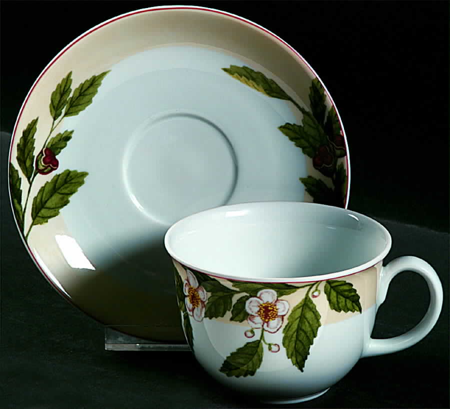 Botanica Flat Cup & Saucer Set by Vista Alegre-1