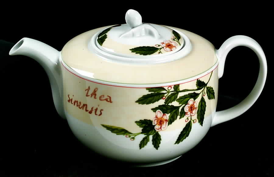 Botanica Teapot & Lid by Vista Alegre-1