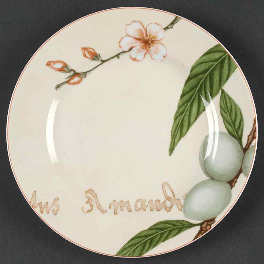Botanica Salad/Dessert Plate by Vista Alegre-1